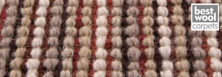 Mocheta lana Africa